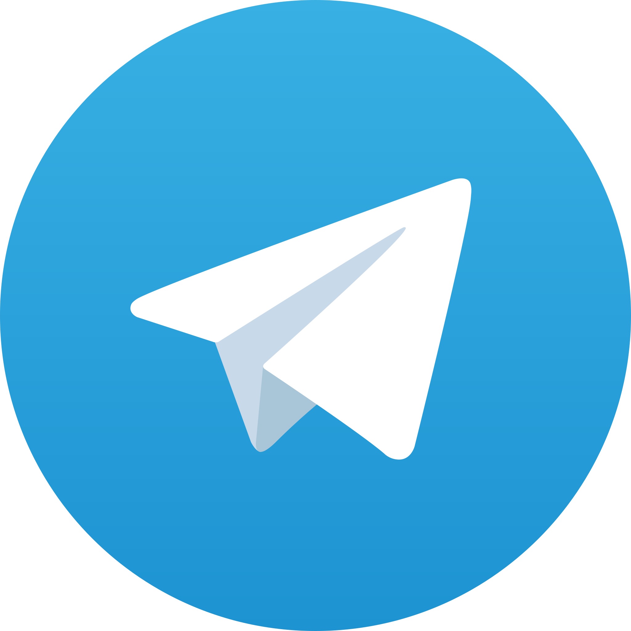 Telegram Influencers